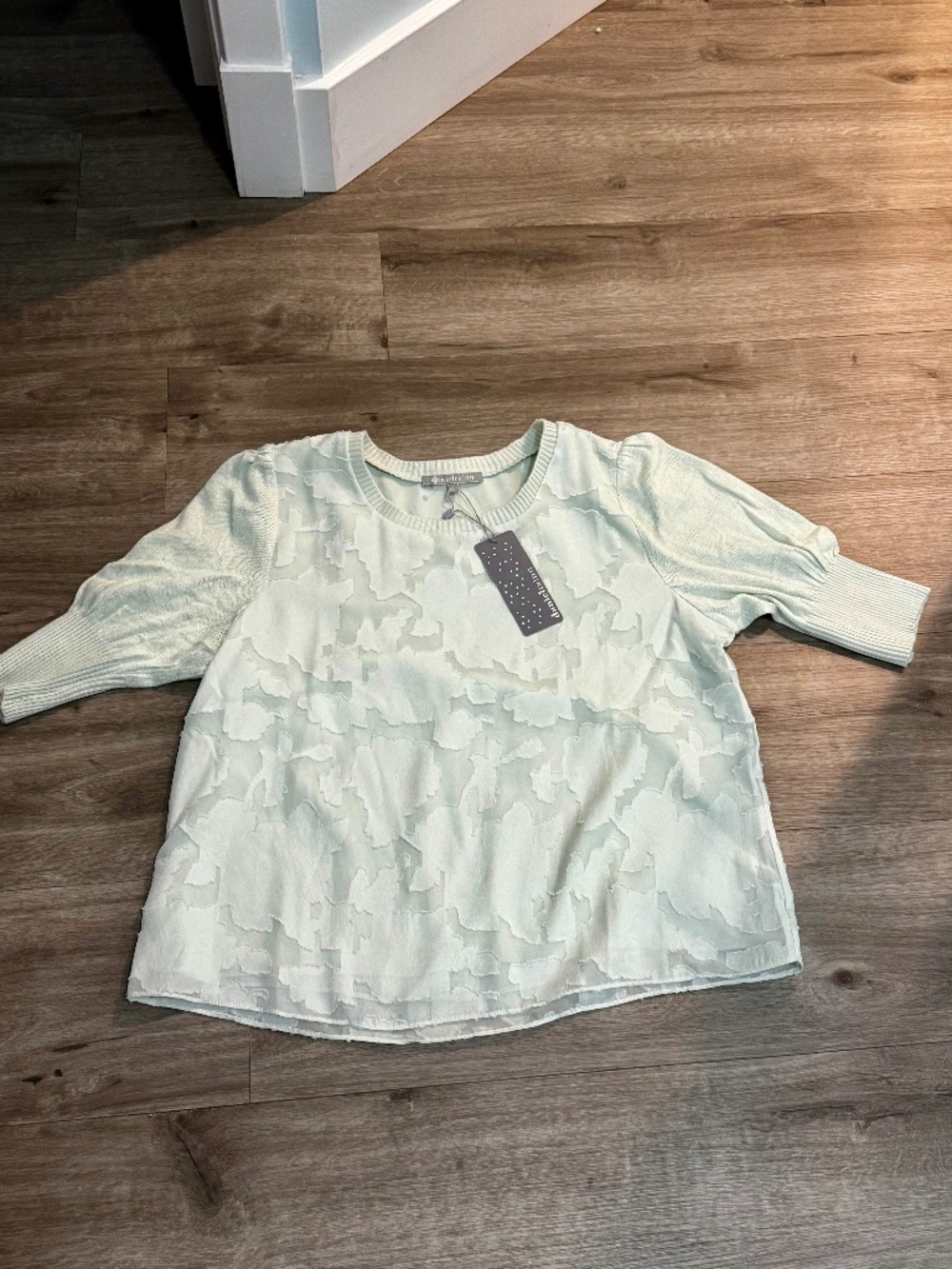 NWT Daniel Rainn Mint Green Short Sleeve Sweater